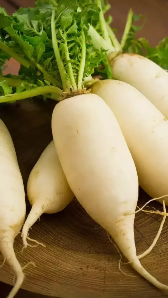 Benefits of Radish