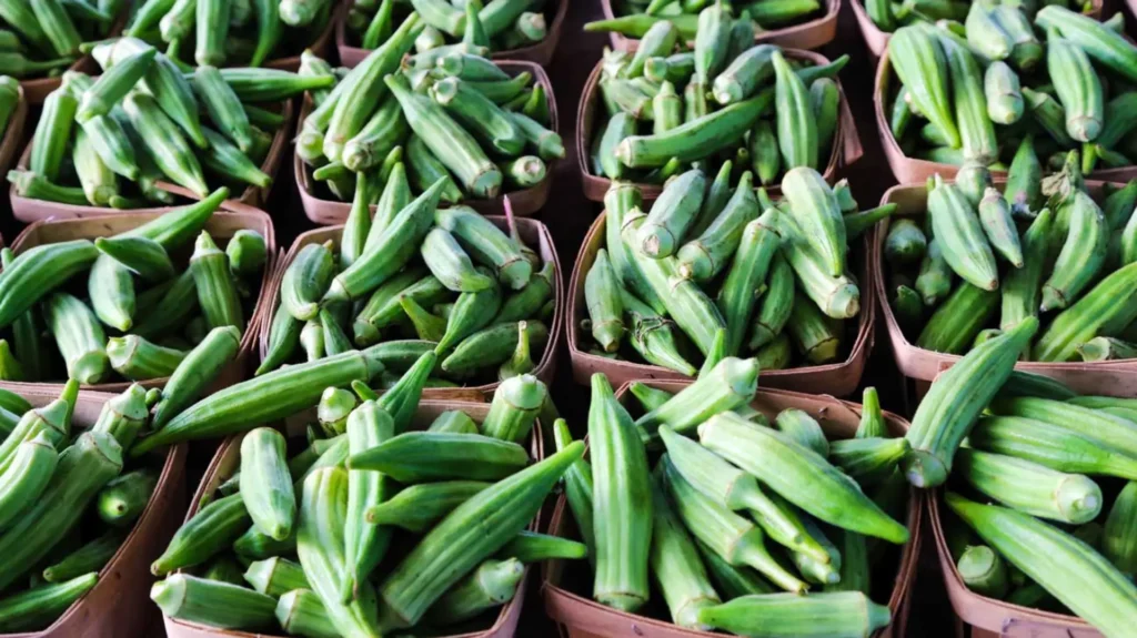 Okra health benefits