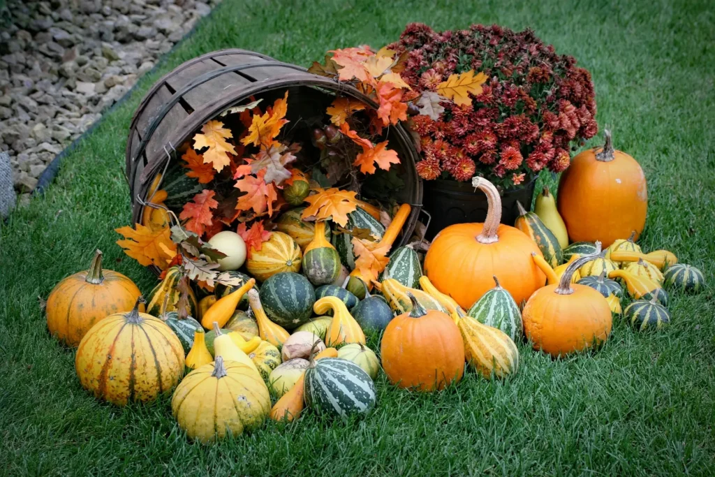 Winter Squash