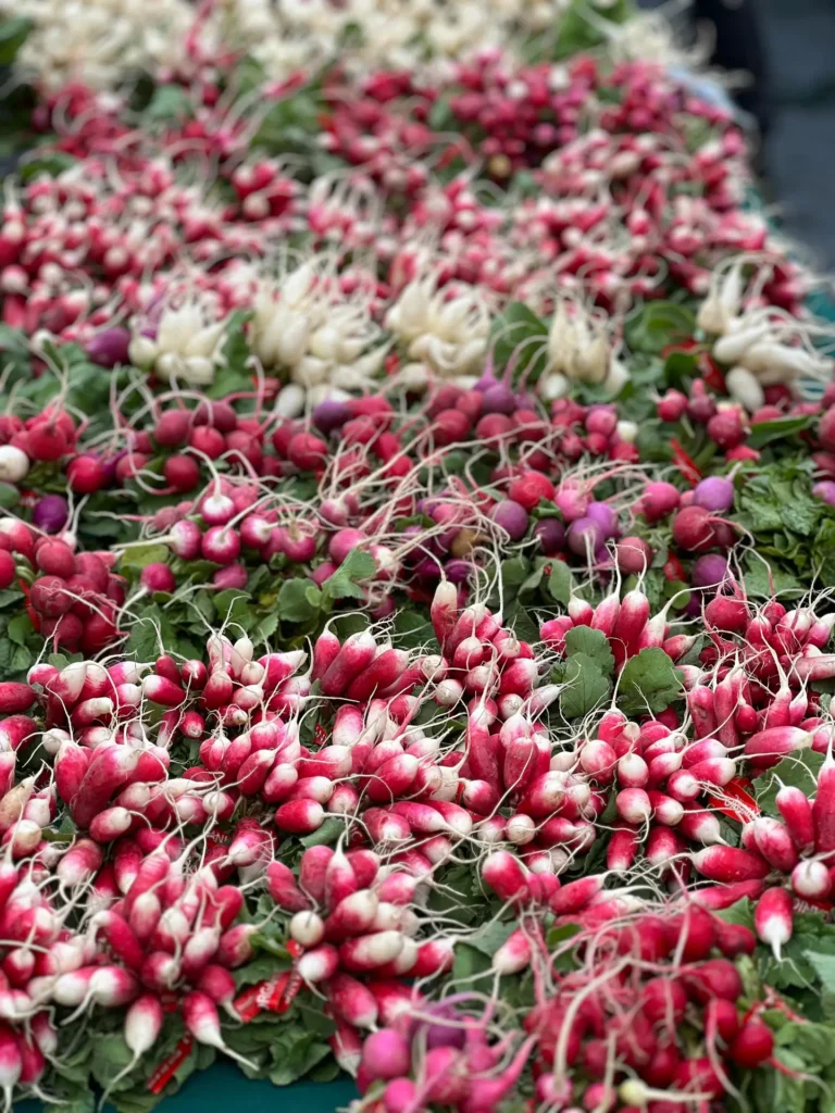 Radish salad