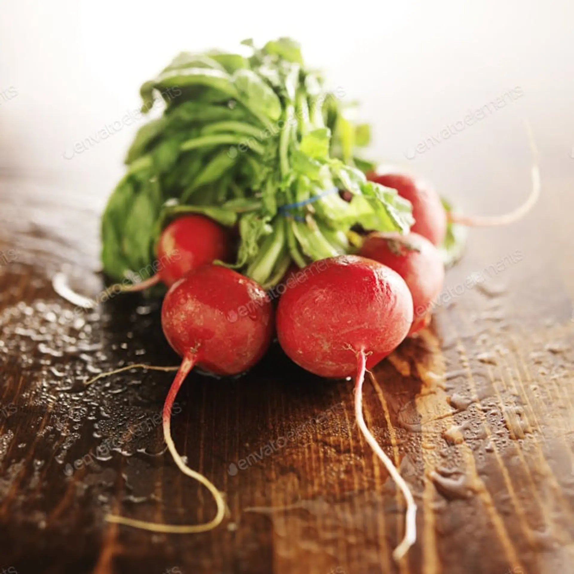 Radishes