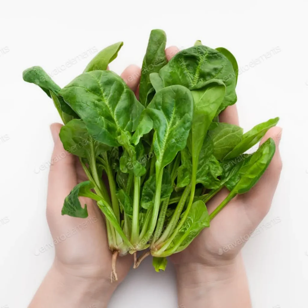 Spinach 